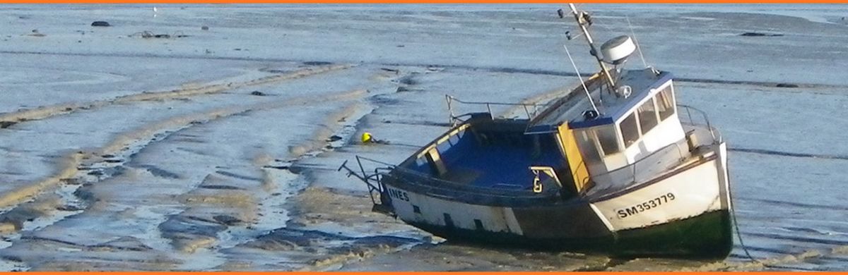 Samedi 10 janvier Yin Yoga