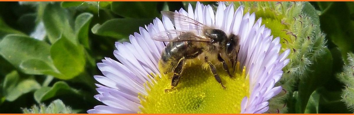 Ateliers saison 2025-2026