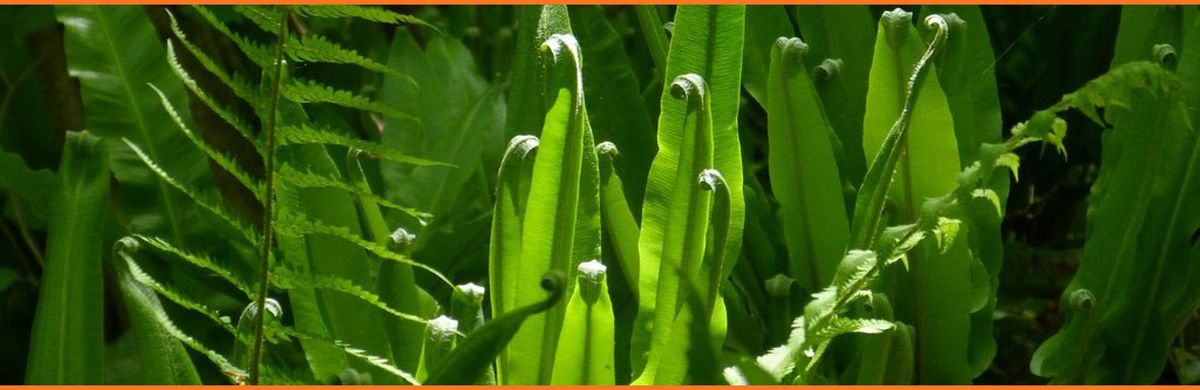 Vacances de printemps