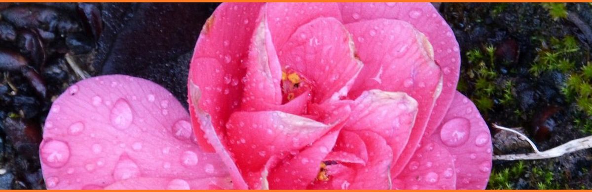 Samedi 28 février Concert Musique Hindustani