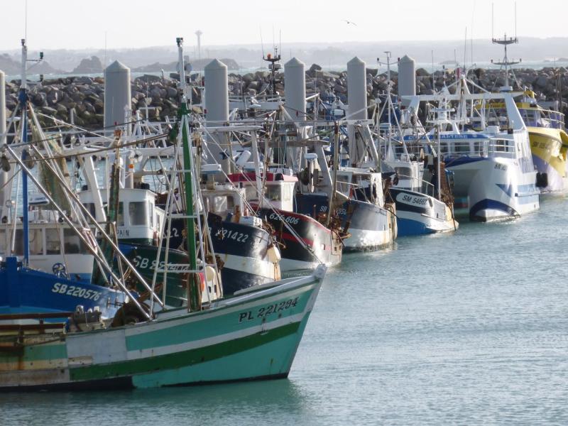 Samedi 24 janvier Initiation &agrave; la Num&eacute;rologie