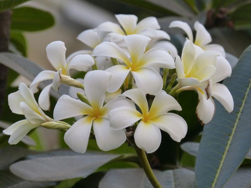 Samedi 31 janvier massages Bien-&ecirc;tre
