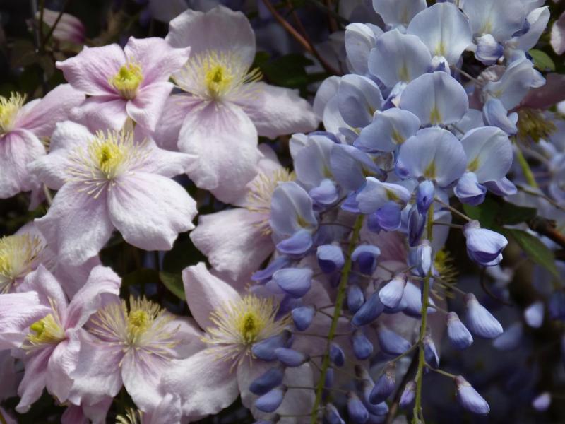 Ateliers Pléneuf saison 2025-26