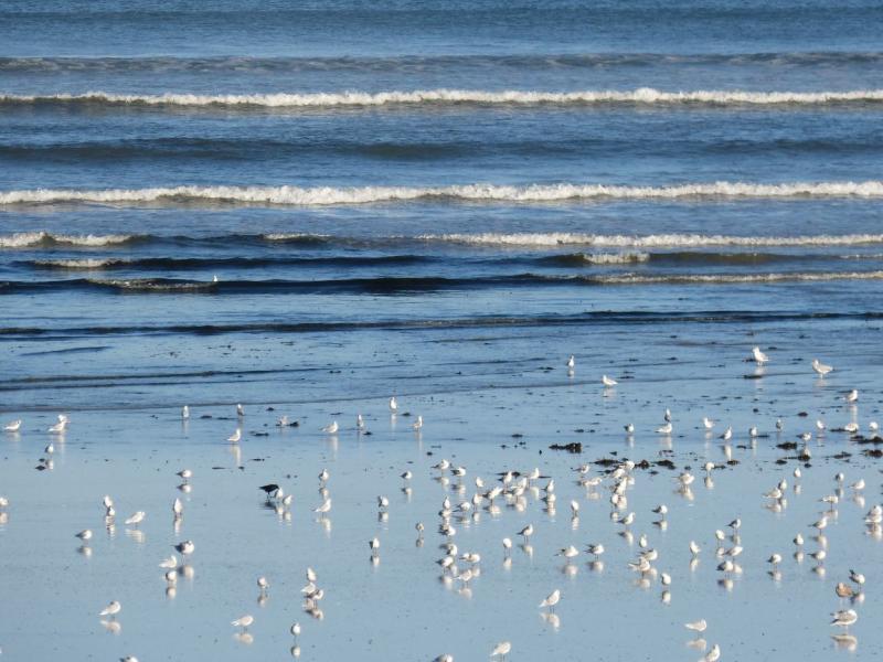 Yoga Plage